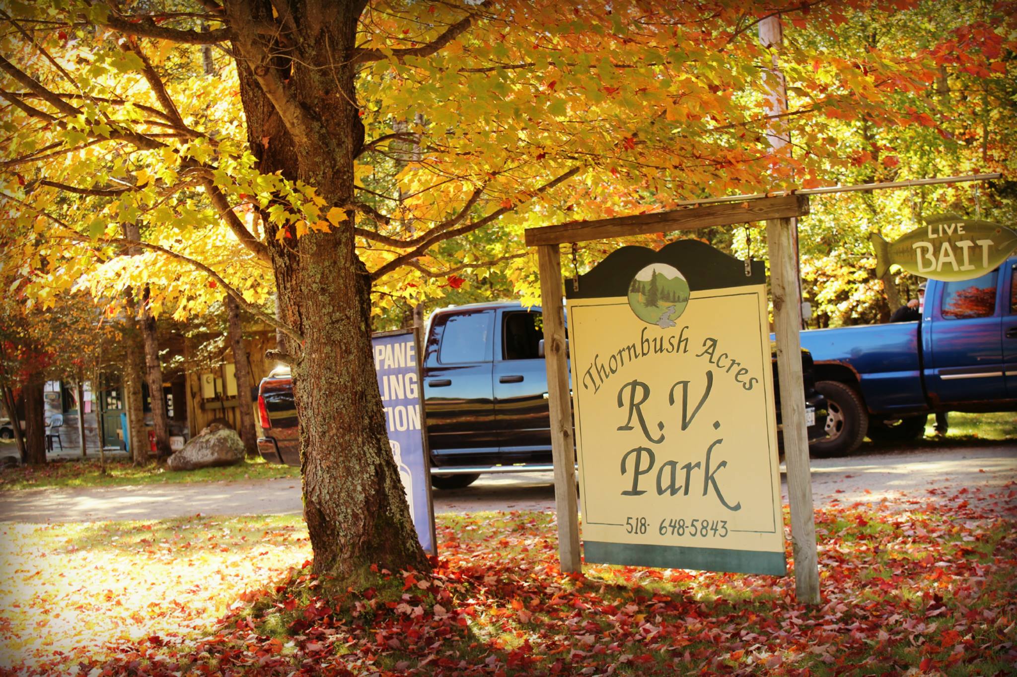 Thornbush Acres RV Park — hero image